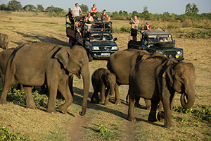Top Experiences Sri Lanka